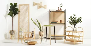 Rattan Furniture Store Bangkok