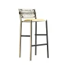 Thinnie Bar Stool (Backrest)