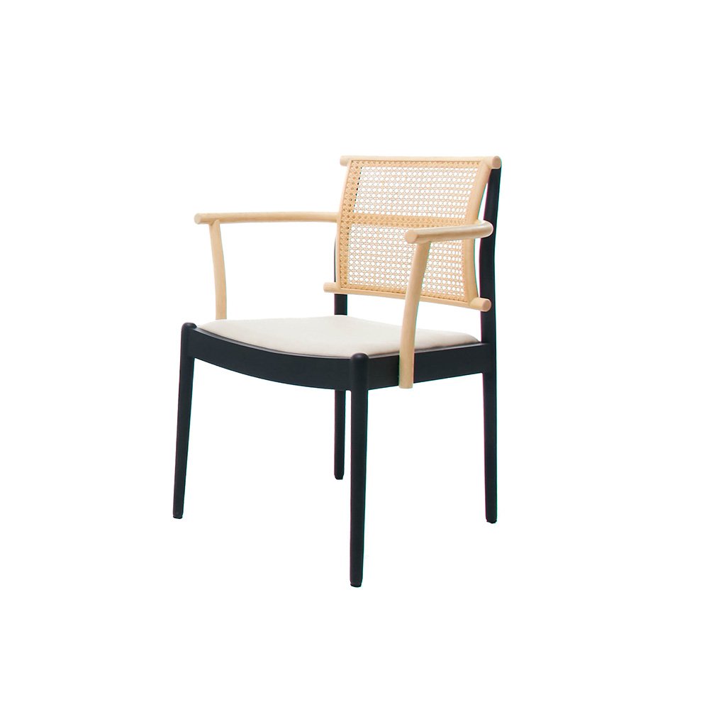 X-Ten Dining Chair - Corner 43 Decor