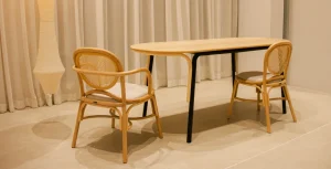 Add Eco-Friendly Products to Your Home: Rattan Chairs