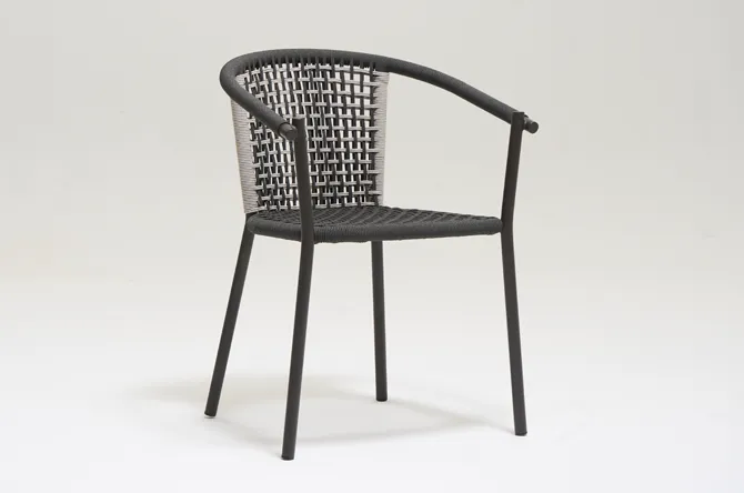 Tabby Dining Chair